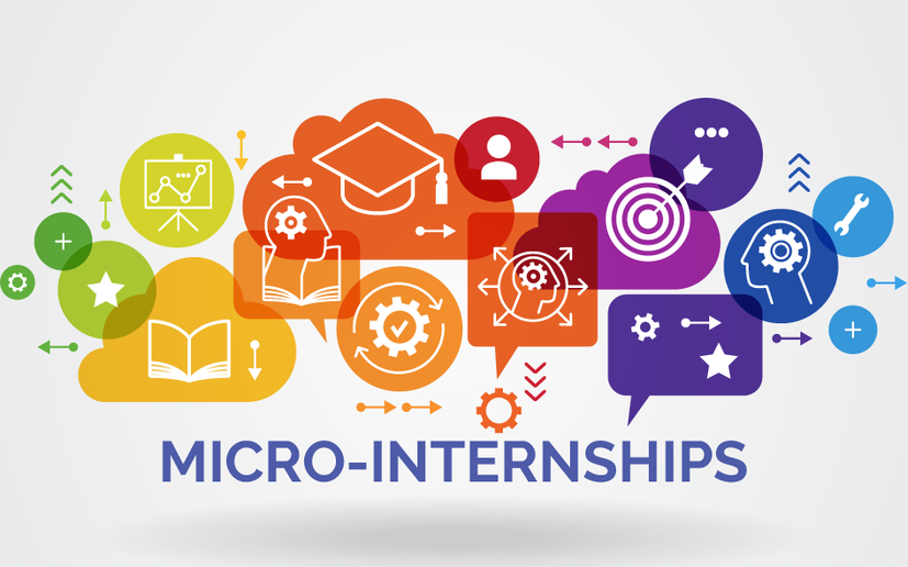 micro-internships for high school seniors